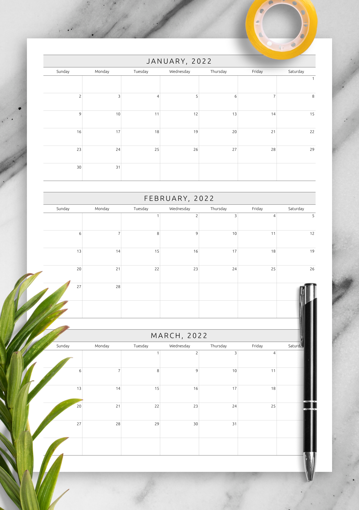 Quarterly Calendar Template Plan 3 Months In One PDF View
