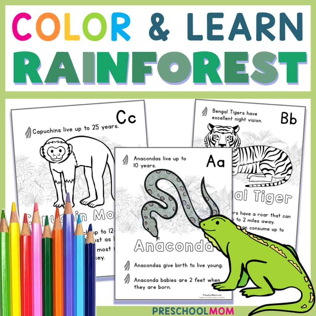 Rainforest Coloring Pages Preschool Mom