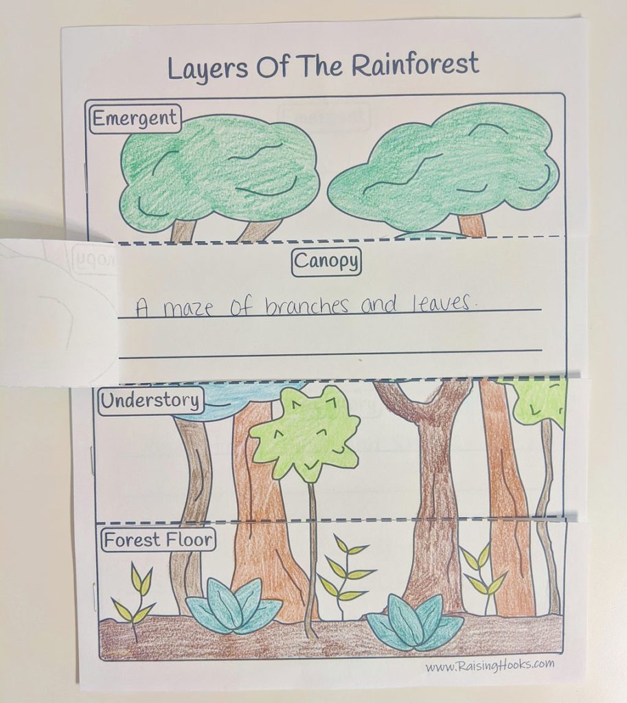 Rainforest Diorama Raising Hooks