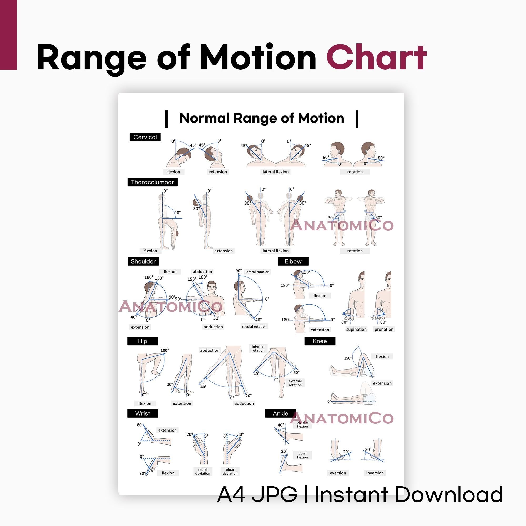 Printable Body Chart Physiotherapy Printable Body Chart Physiotherapy