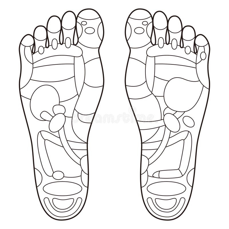 Reflexology Foot Points Stock Illustrations 170 Reflexology Foot Points Stock Illustrations Vectors Clipart Dreamstime