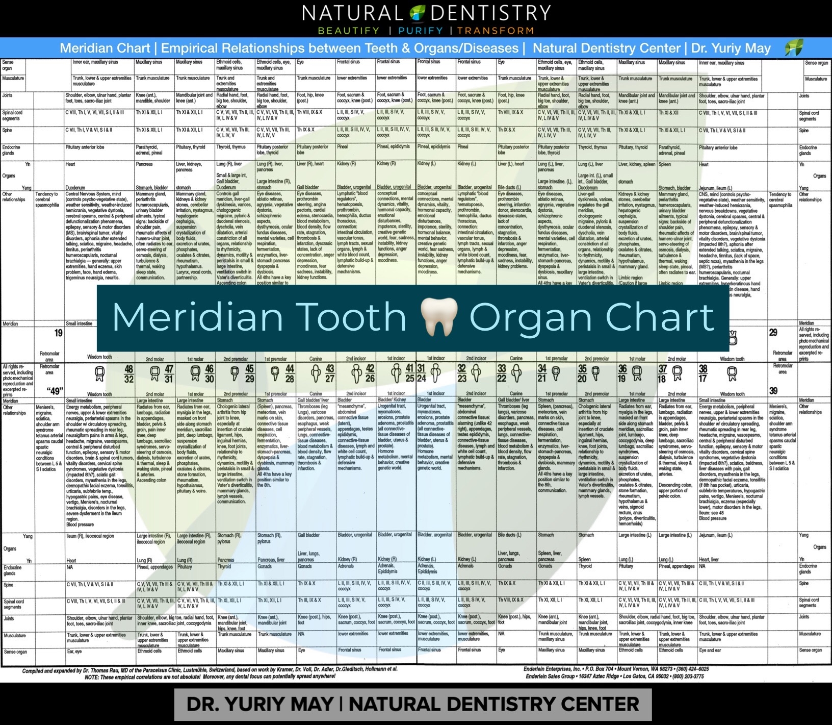 Printable Tooth Meridian Chart