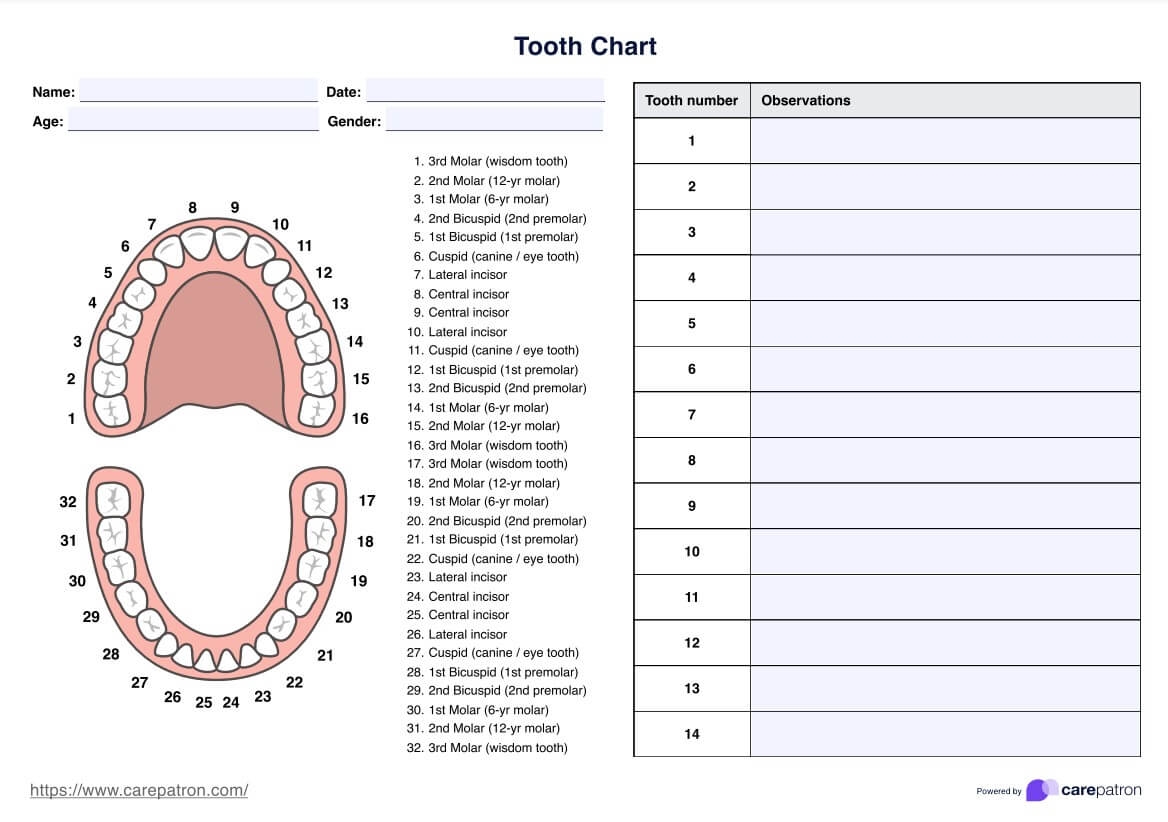 Tooth Chart Example Free PDF Download Tooth Chart Example Free PDF Download