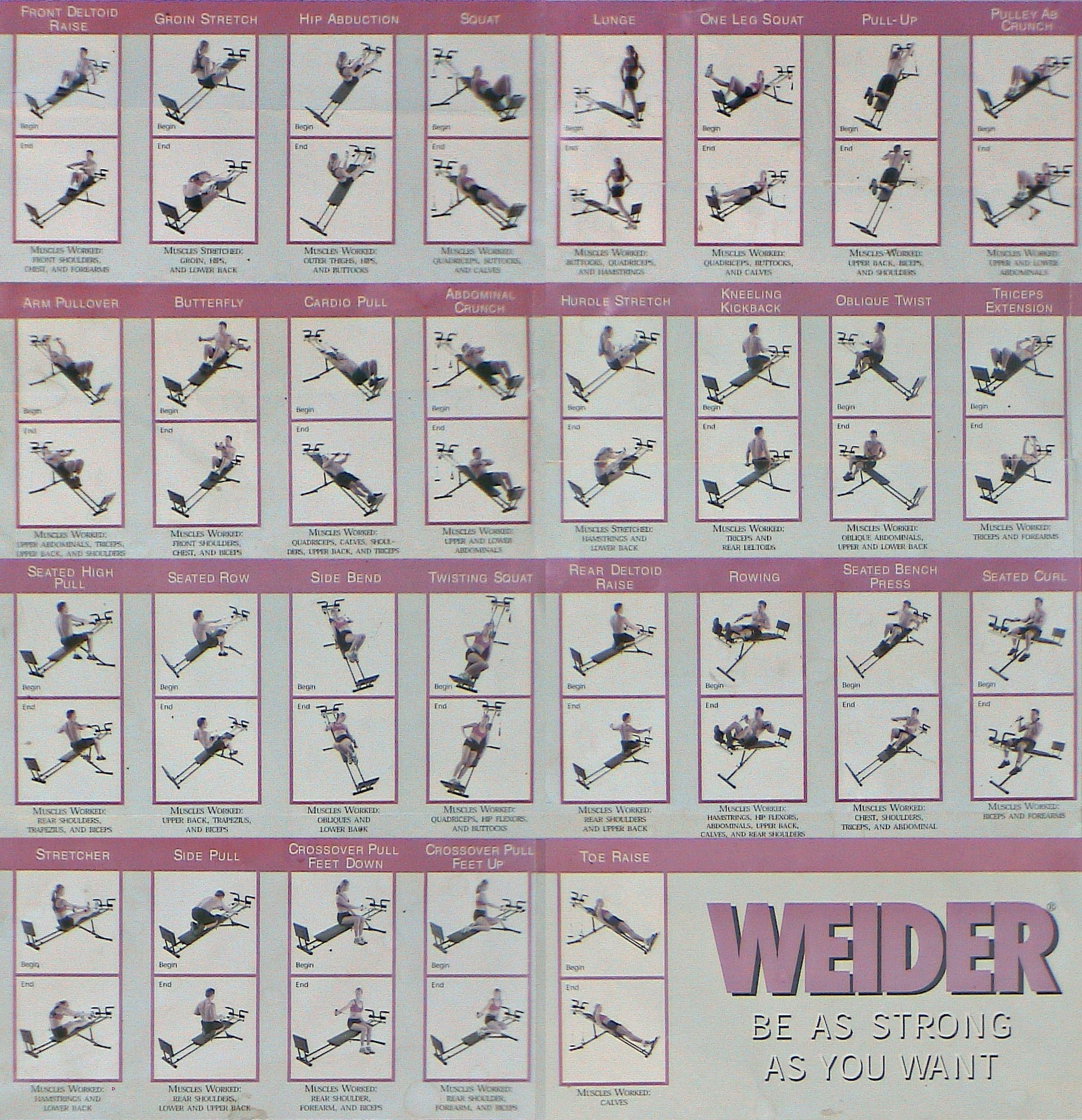 Weider Total Discount Gym Exercise Chart