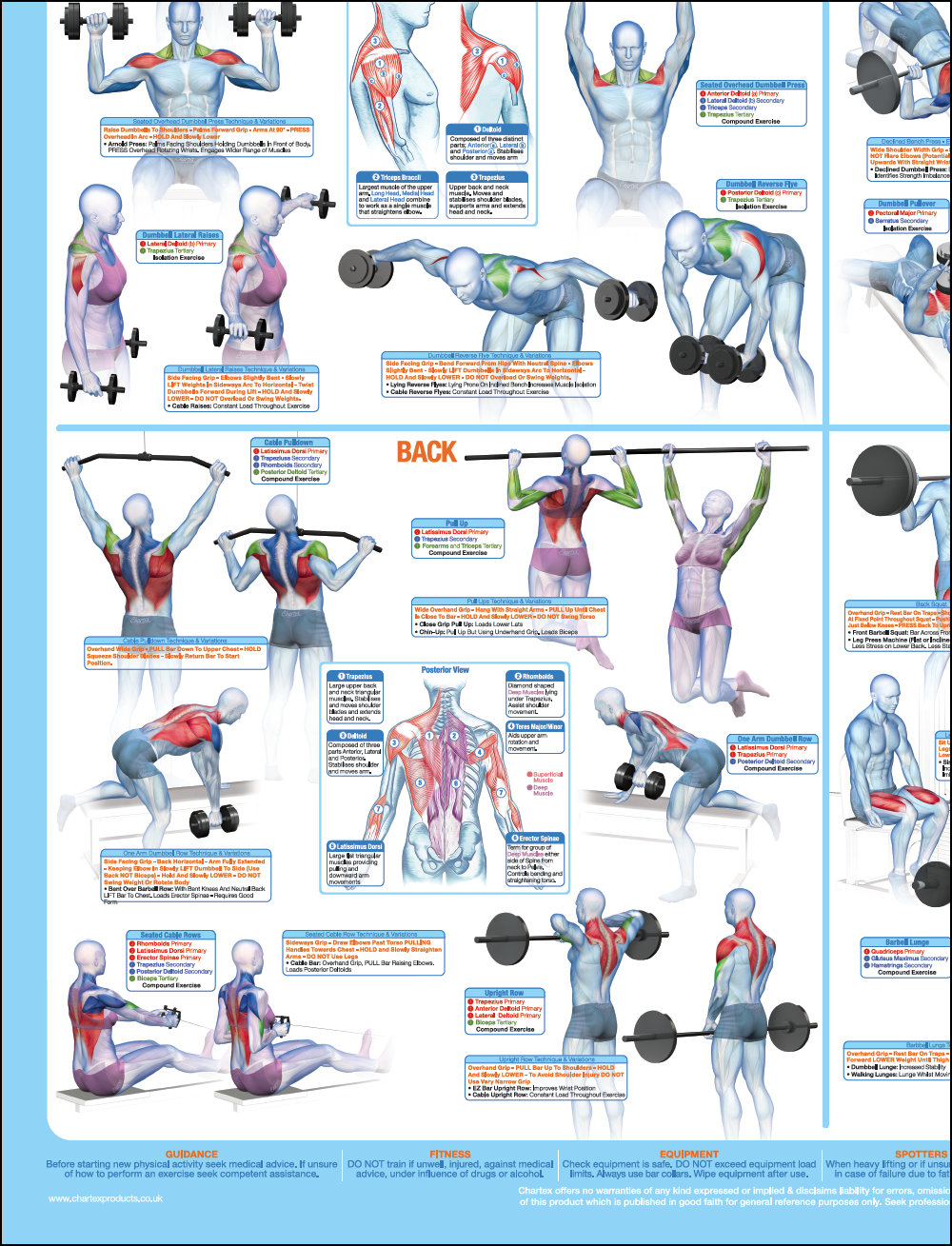 Printable Weider Exercise Chart Pdf