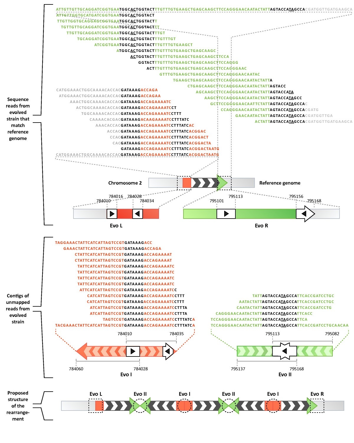 Kakuro Cheat Sheet Printable