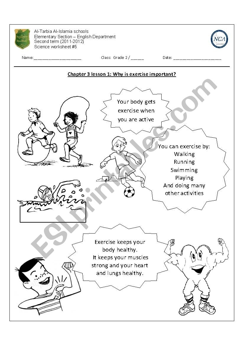 Why Is Exercise Important ESL Worksheet By Nohabsat Why Is Exercise Important ESL Worksheet By Nohabsat