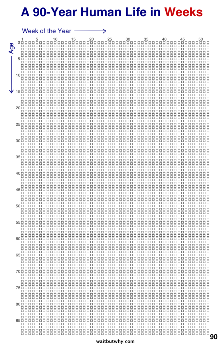 Your Life In Weeks Wait But Why