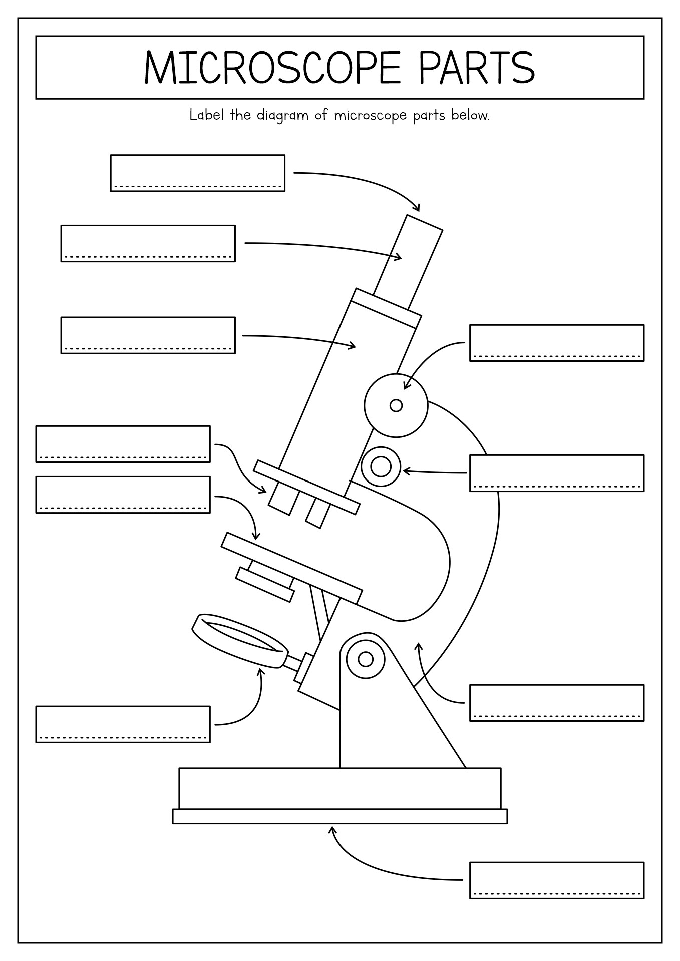 15 Printable Microscope Worksheet Free PDF At Worksheeto