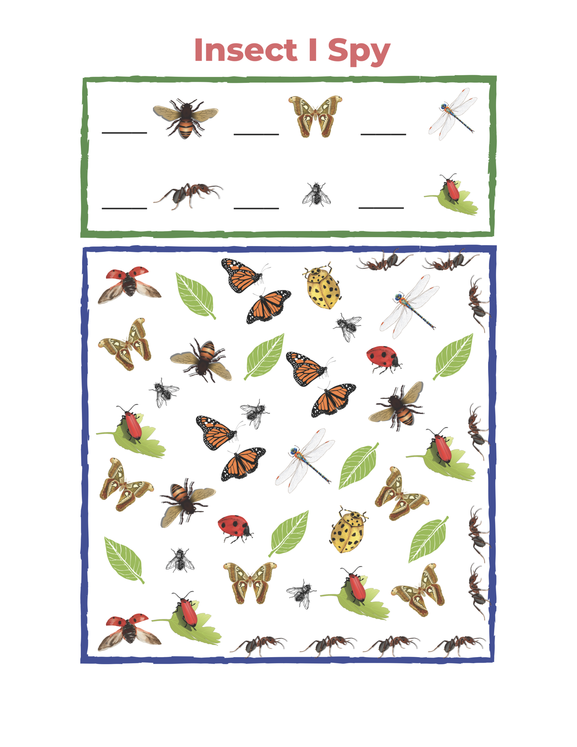 Printable Insect Worksheets For Preschool Printable Insect Worksheets For Preschool
