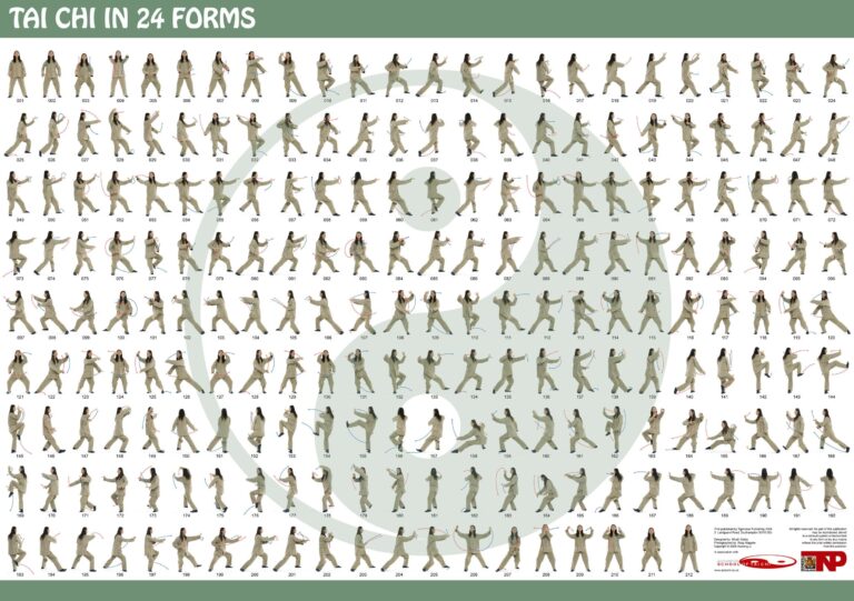 8 Tai Chi Chart Ideas Tai Chi Tai Tai Chi For Beginners