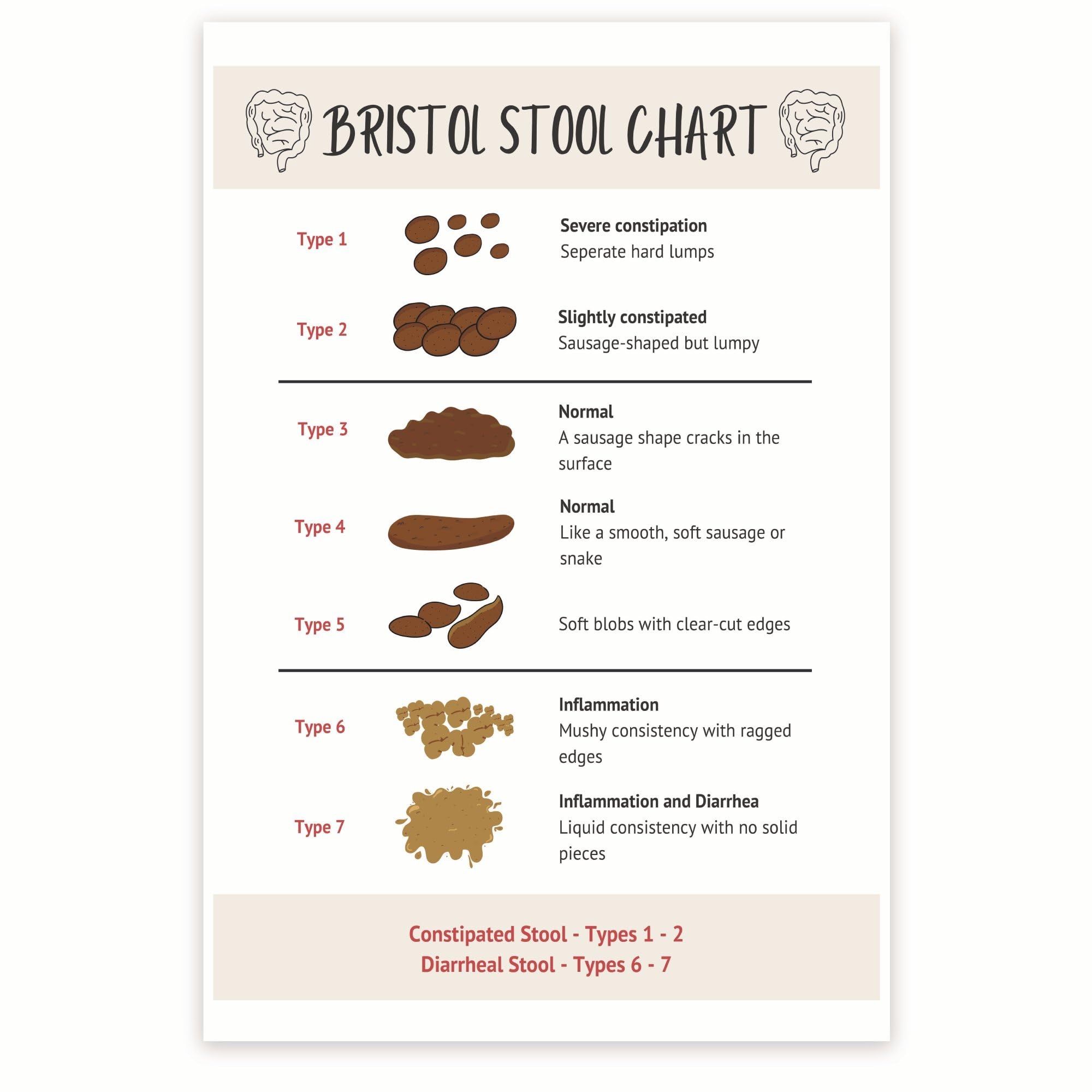 Amazon Bliss Monkey Co Bristol Stool Chart Gastrointestinal Health Chart Digestive System Poster Poop Consistency 12 X 18 Inch Unframed Premium 100lb Gloss Made In USA BMCP0523 Posters Prints