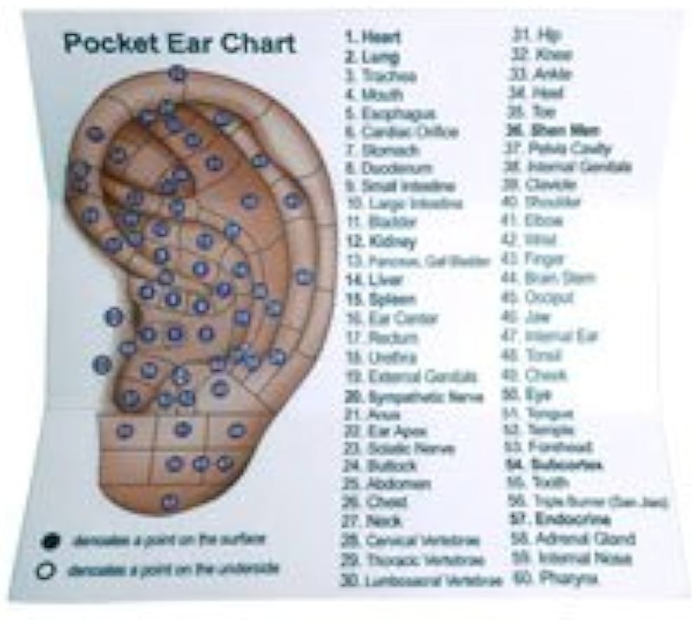 Amazon Dual Head Tip Acupuncture Ear And Body Point Probe Pocket Ear Chart And Pouch Health U0026 Household Amazon Dual Head Tip Acupuncture Ear And Body Point Probe Pocket Ear Chart And Pouch Health U0026 Household