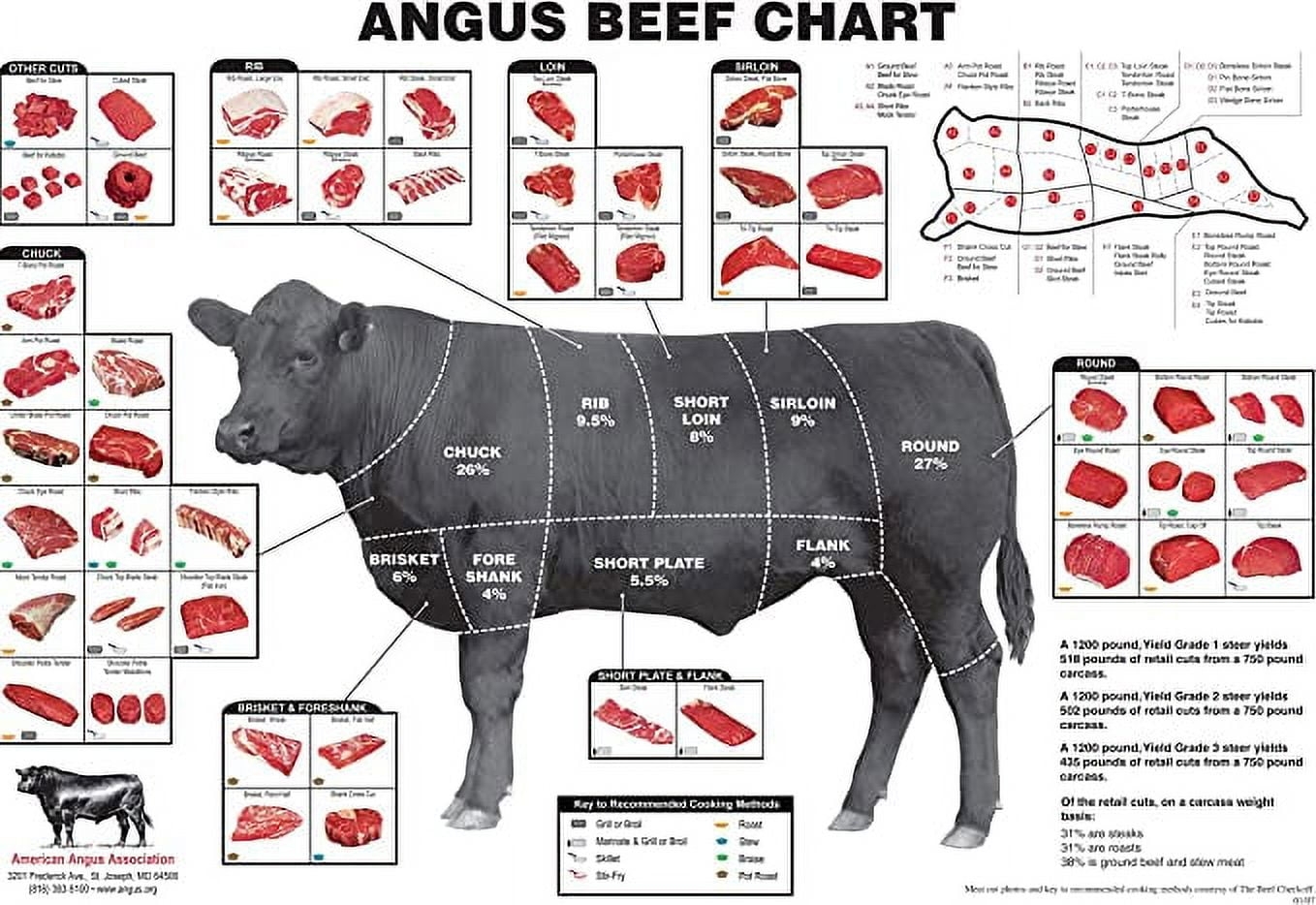 Angus Beef Chart Meat Cuts Diagram Poster 24 Inches X 36 Inches Art Walmart