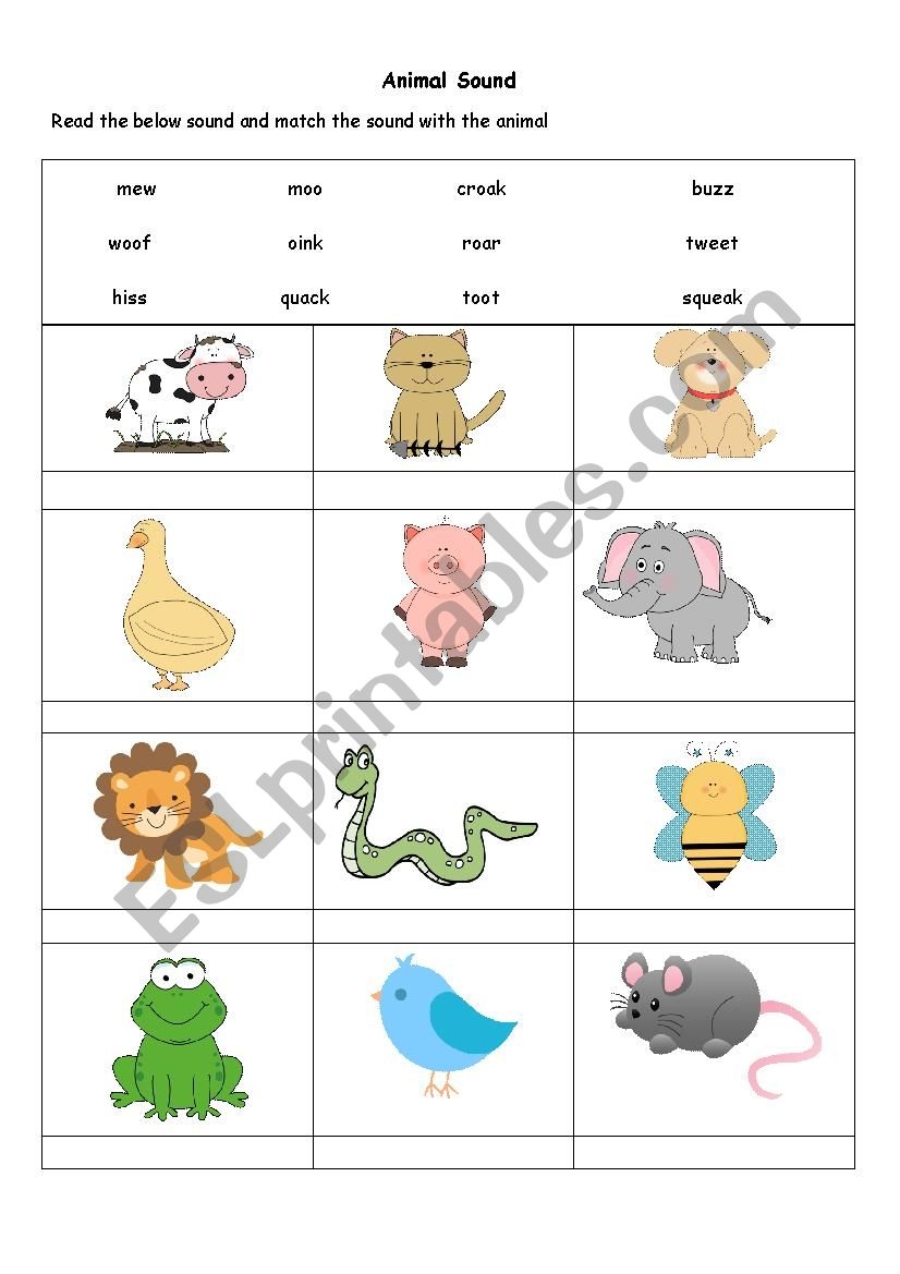 Animal Sound Worksheet ESL Worksheet By Mt7913