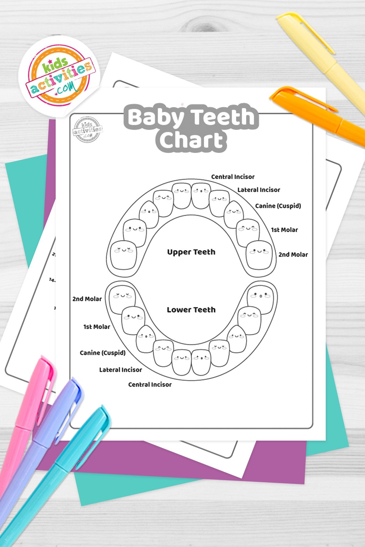 Free Printable Tooth Chart