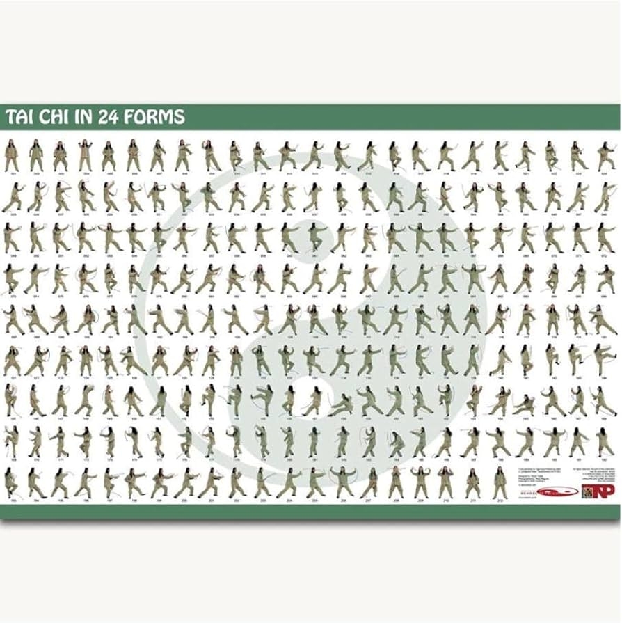 BINGJIACAI Tai Chi In 24 Forms Chinese Medical Relaxation 