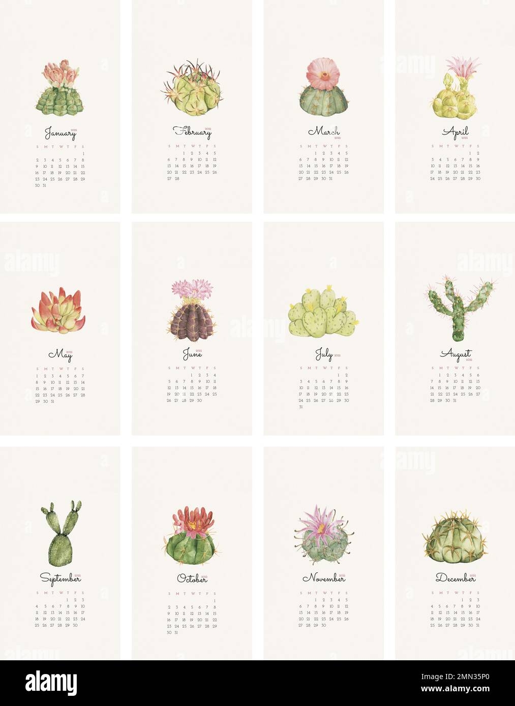 Botanical 2022 Monthly Calendar Template Cactus IPhone Wallpaper Vector Set Stock Vector Image Art Alamy