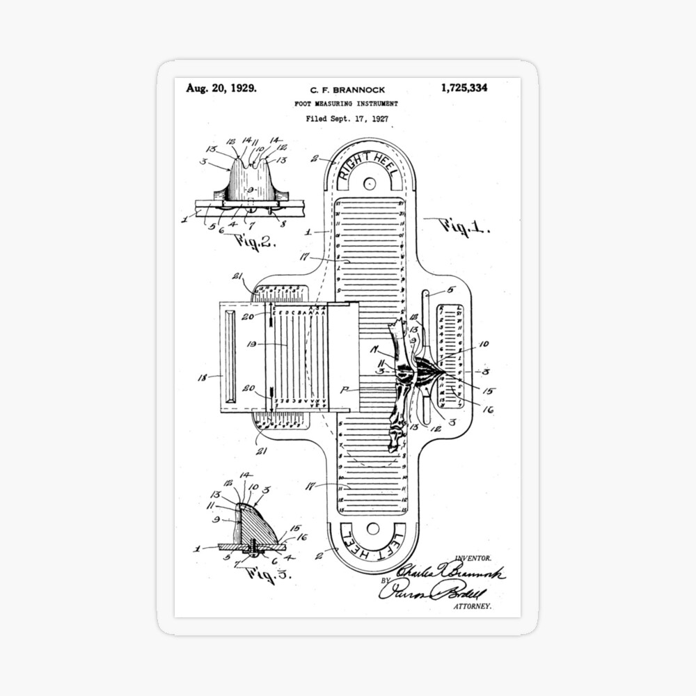 Brannock Size Chart Printable