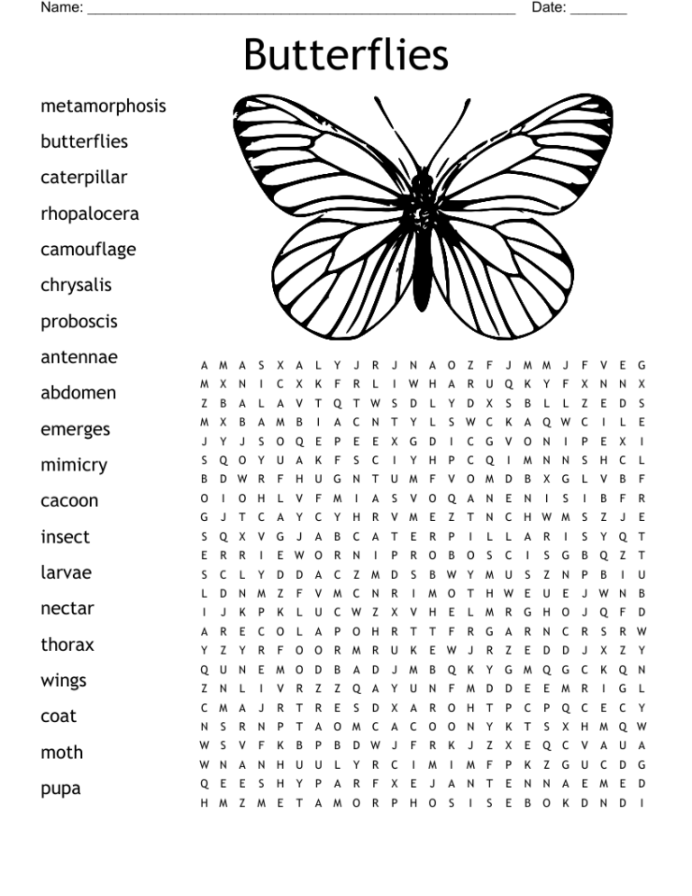Butterflies Word Search WordMint
