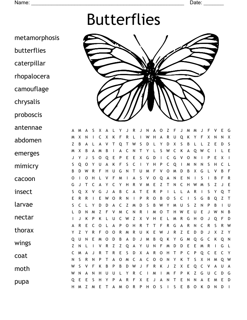 Butterflies Word Search WordMint