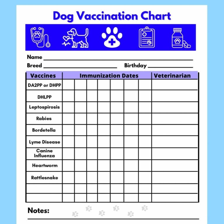 Dog Vaccine Printable Pet Printable Immunization Puppy Vaccinations Dog Health Digital Download Instant Download PDF Etsy