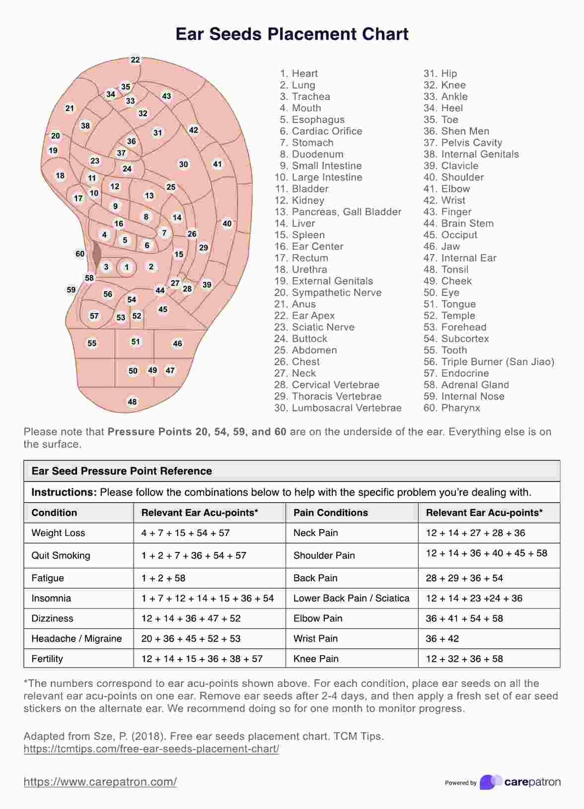 Ear Seeds Placement Chart U0026 Example Free PDF Download Ear Seeds Placement Chart U0026 Example Free PDF Download