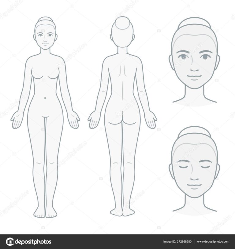 Female Body And Face Chart Stock Vector By Sudowoodo 272868680