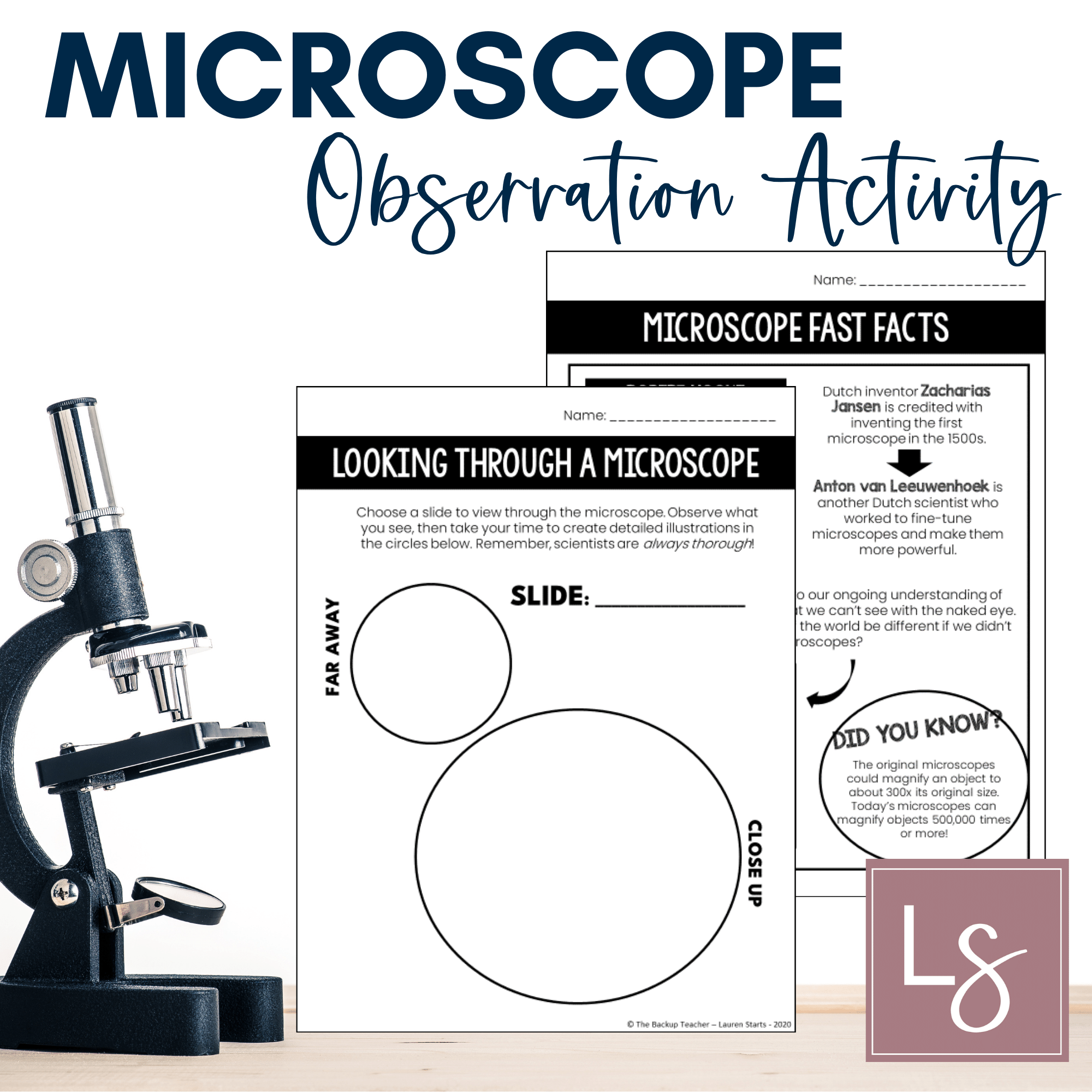FREE Microscope Observation Worksheet And Activity Made By Teachers