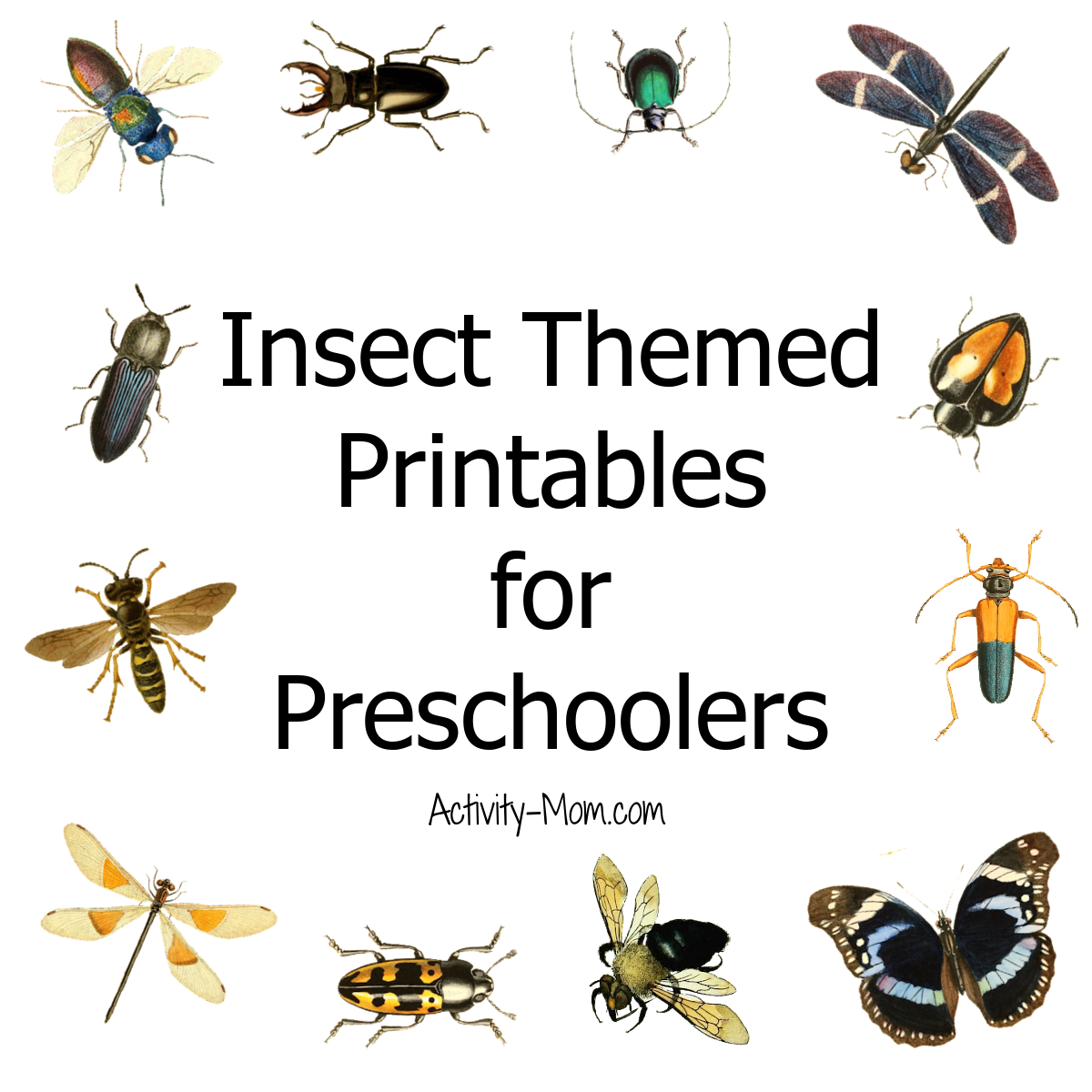 Free Preschool Insect Theme Printables And Activities The Activity Mom Free Preschool Insect Theme Printables And Activities The Activity Mom