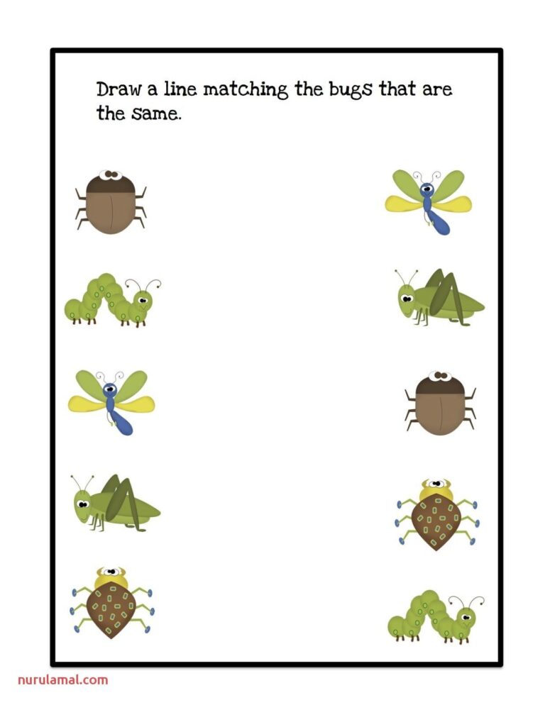 Free Printable Insect Worksheets For Preschool Worksheets Library