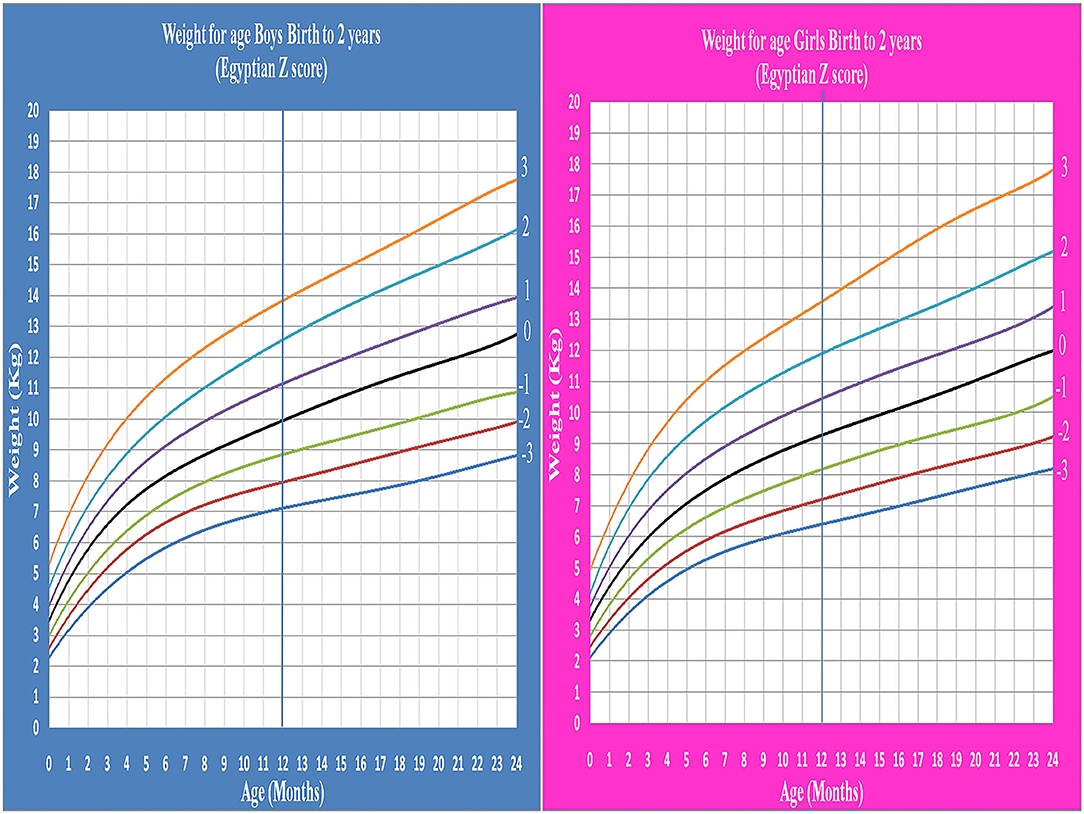 Z Score Chart Printable