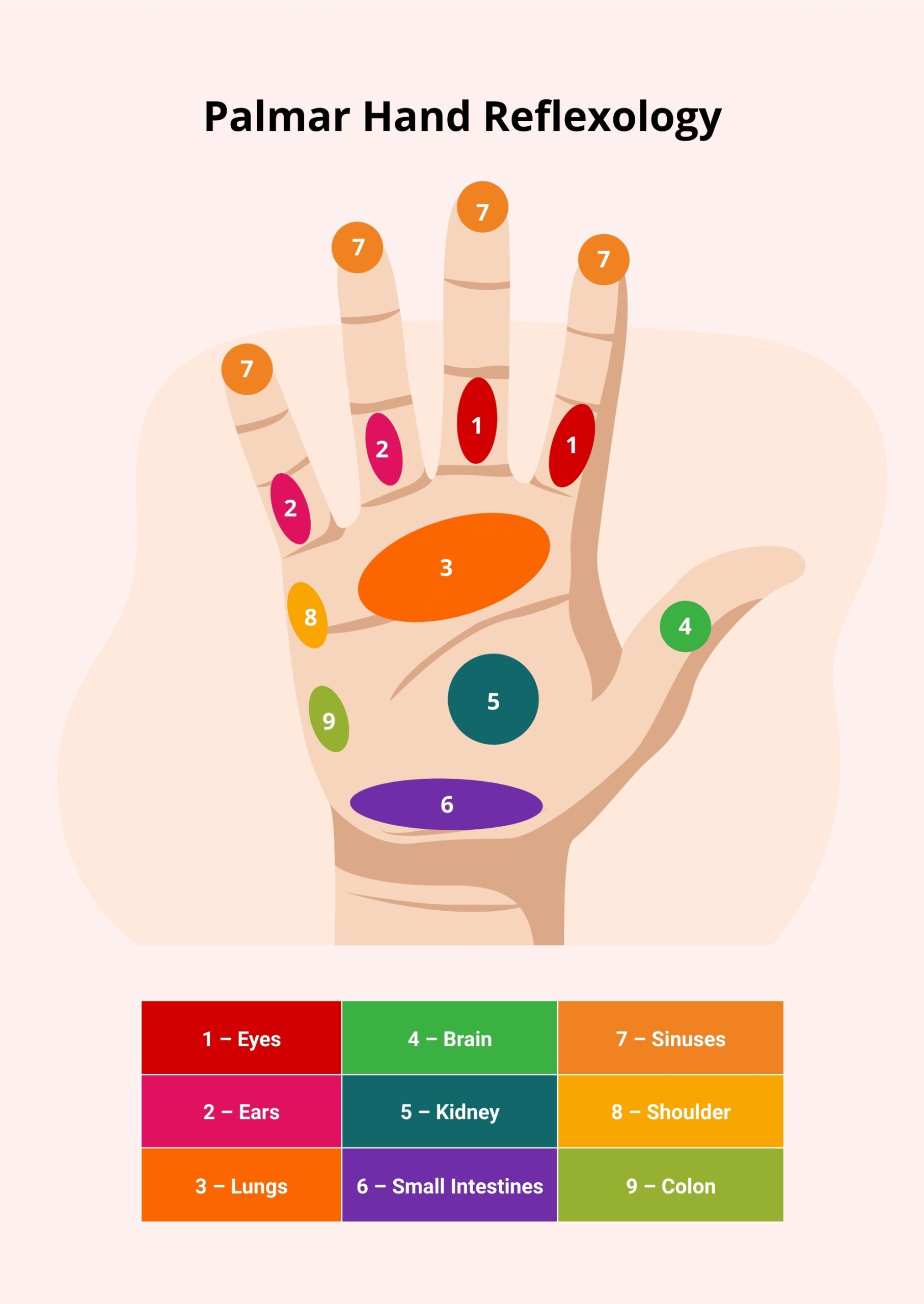 Hand Reflexology Chart In Illustrator PDF Download Template Hand Reflexology Chart In Illustrator PDF Download Template