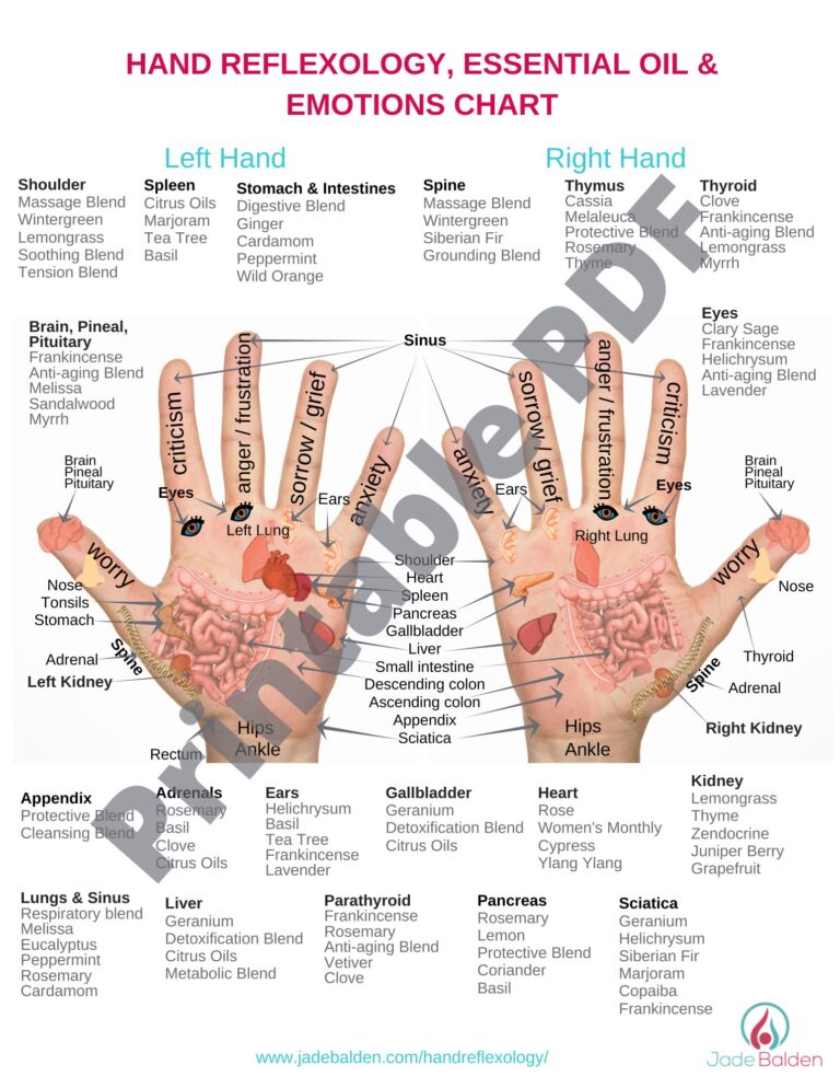 Hand Reflexology Chart PDF Printable
