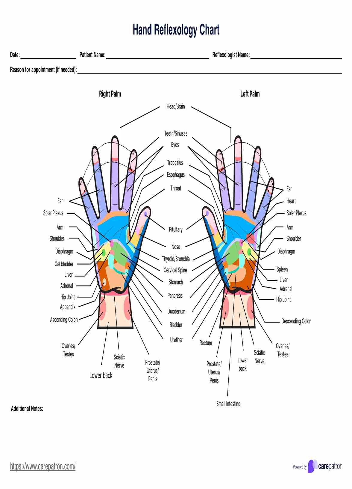 Hand Reflexology Chart U0026 Example Free PDF Download Hand Reflexology Chart U0026 Example Free PDF Download