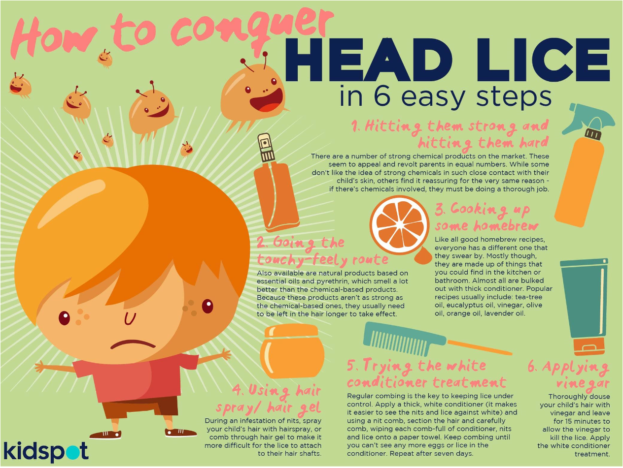 Head Lice Information Head Lice Information