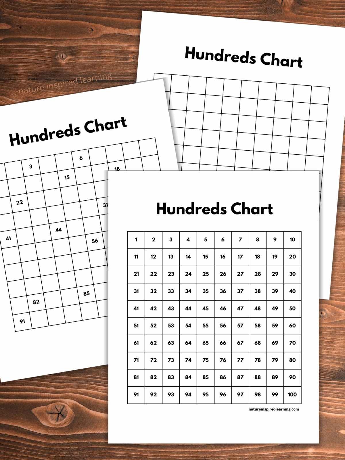 Printable 100s Chart Printable 100s Chart