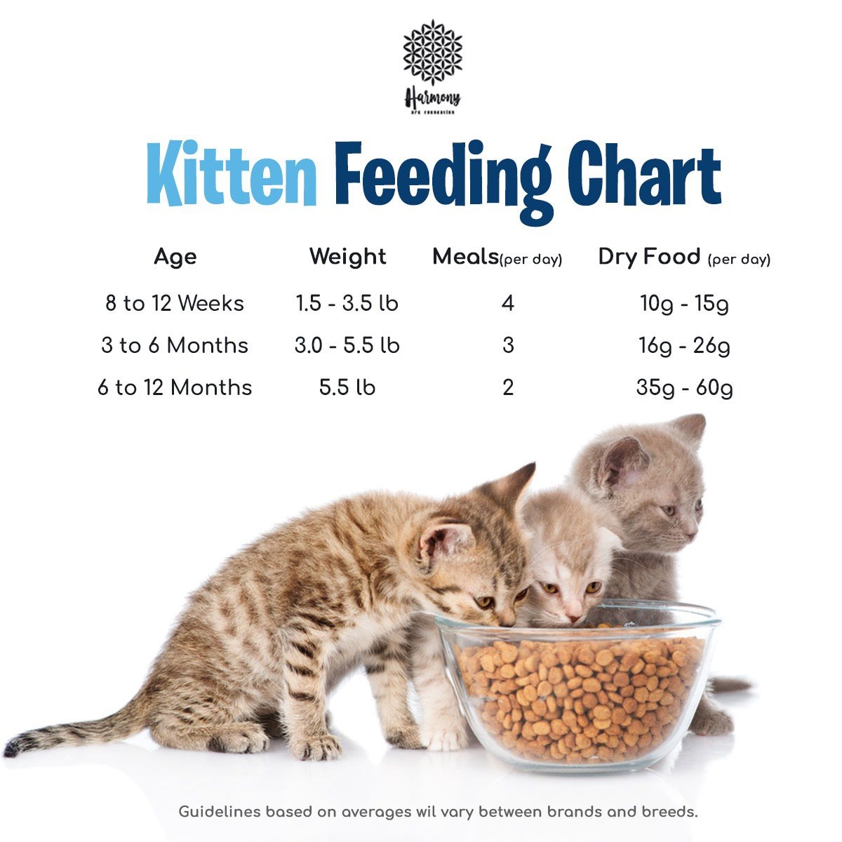Kitten Sale Feeding Chart Kitten Sale Feeding Chart