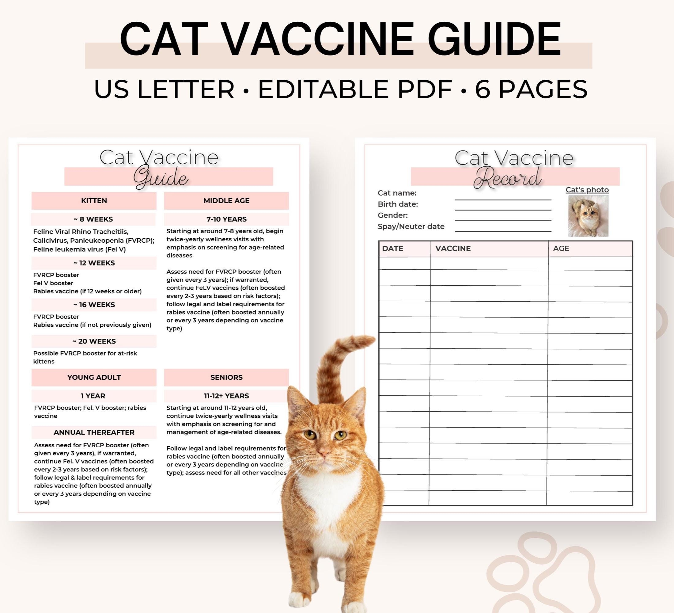 Kitten Vaccine Guide Kitten Vaccine Tracker Cat Vaccine Chart 
