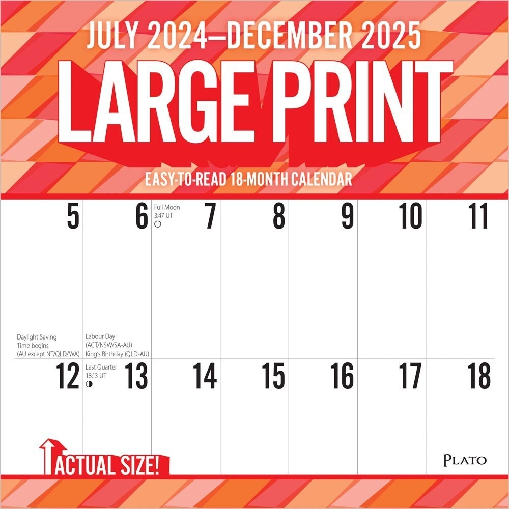 Large Print 2025 12x24 18 Months Wall Calendar Jul 24 Dec 25 Matte Paper EBay
