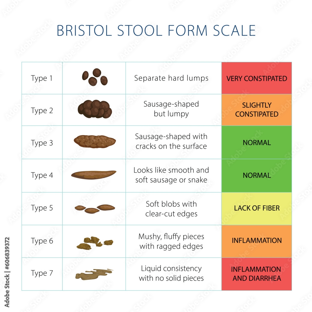 Nrsng Scrubcheats Free Printable Bristol Stool Chart Guide Easy Printables For Everyone Wallet Medical Card Nrsng Scrubcheats Free Printable Bristol Stool Chart Guide Easy Printables For Everyone Wallet Medical Card