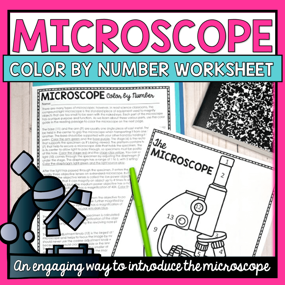 Parts Of The Microscope Color By Number Worksheet The Trendy Science Teacher