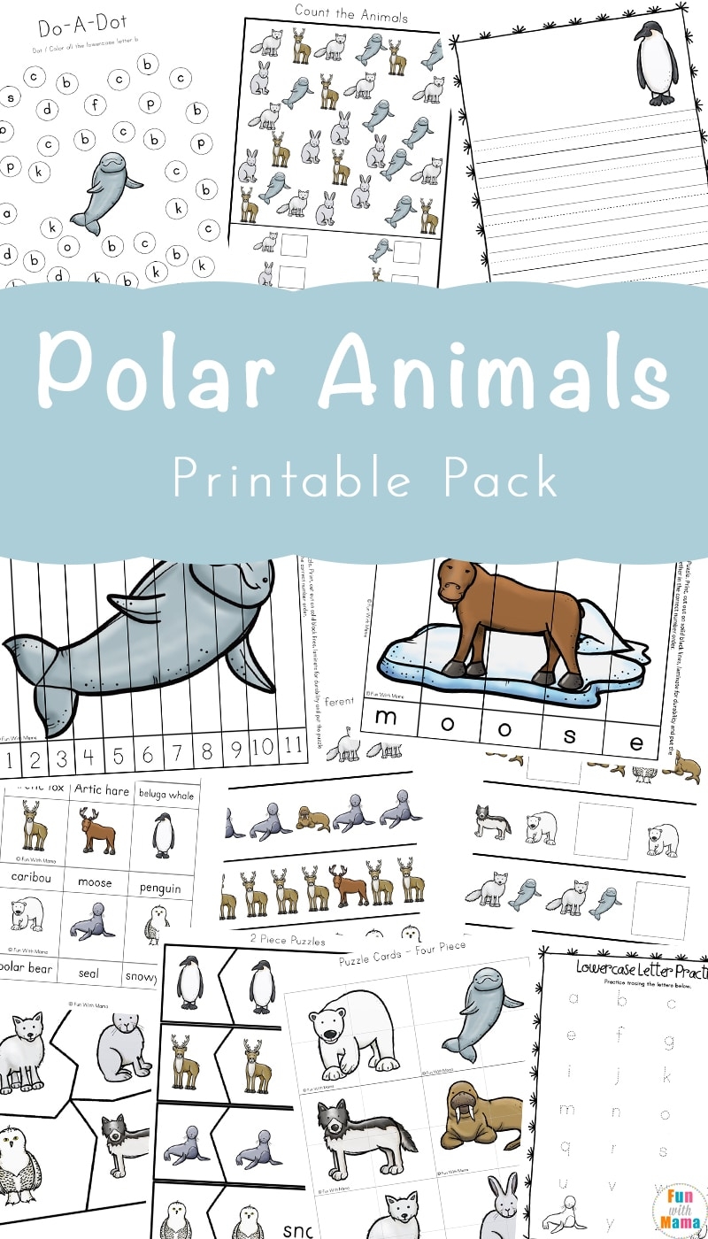 Polar Animals Activities