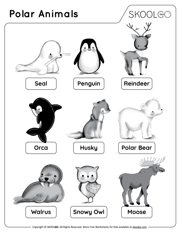 Polar Animals Free Worksheet SKOOLGO