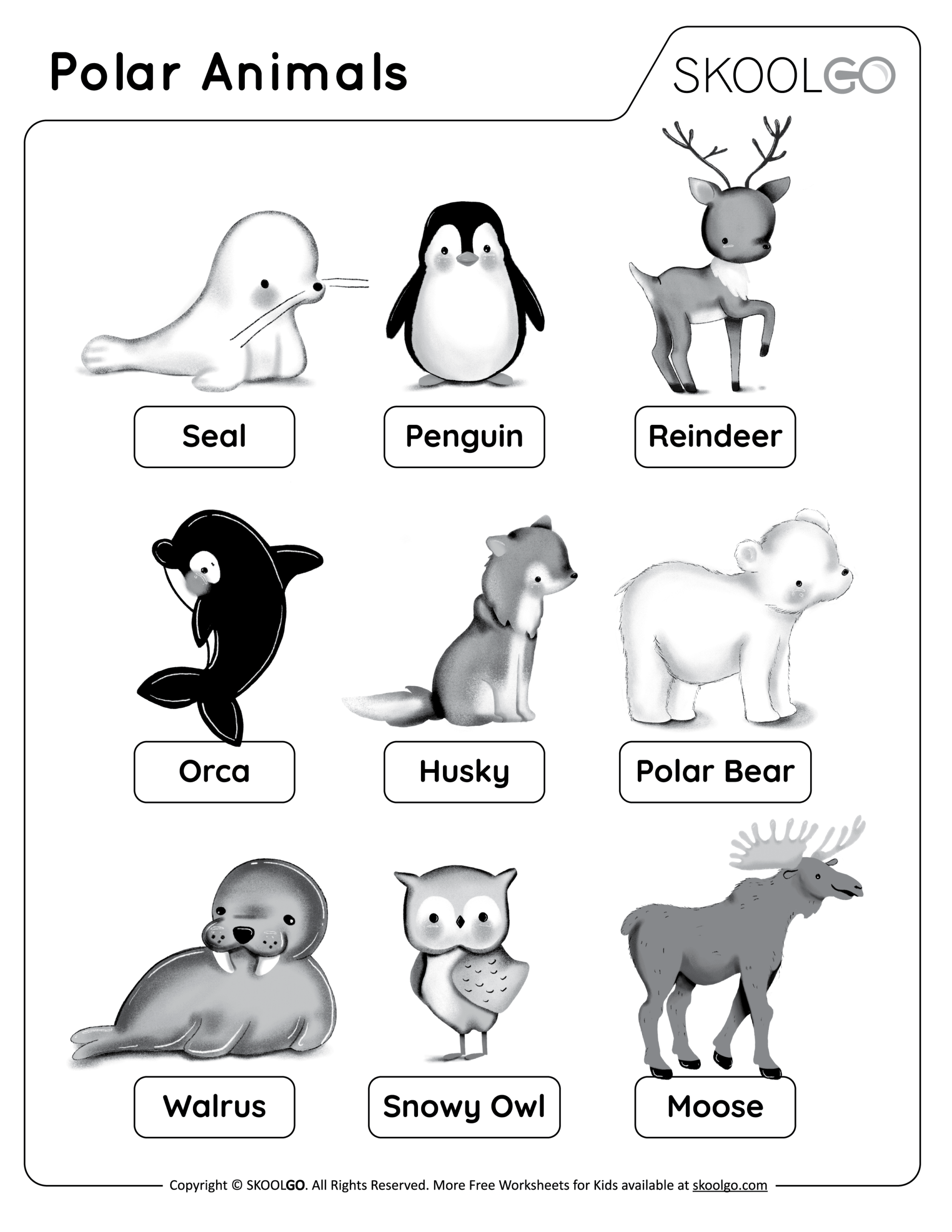 Polar Animals Free Worksheet SKOOLGO