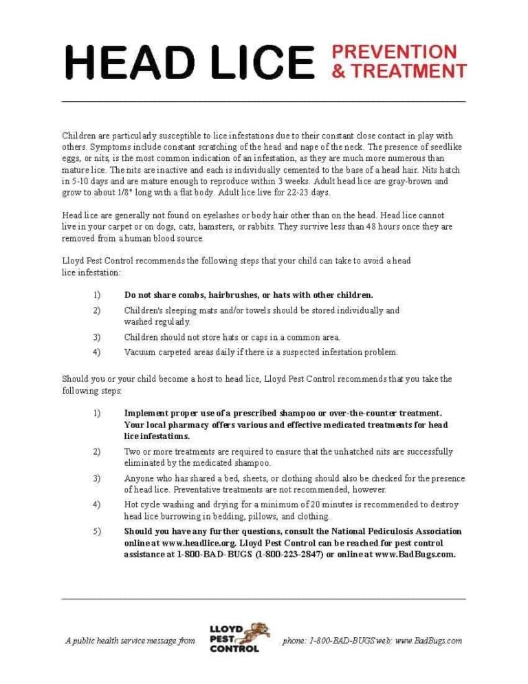 Printable Head Lice Prevention And Treatment Lloyd Pest Control