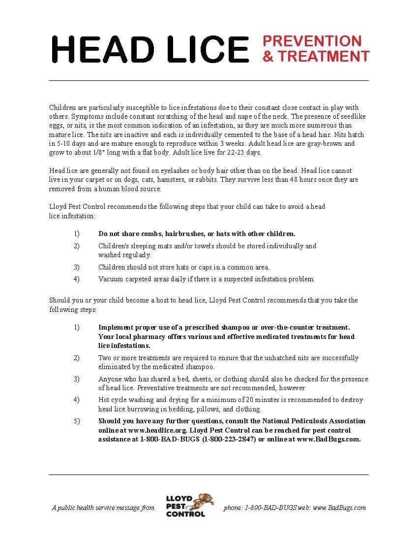 Printable Head Lice Prevention And Treatment Lloyd Pest Control Printable Head Lice Prevention And Treatment Lloyd Pest Control