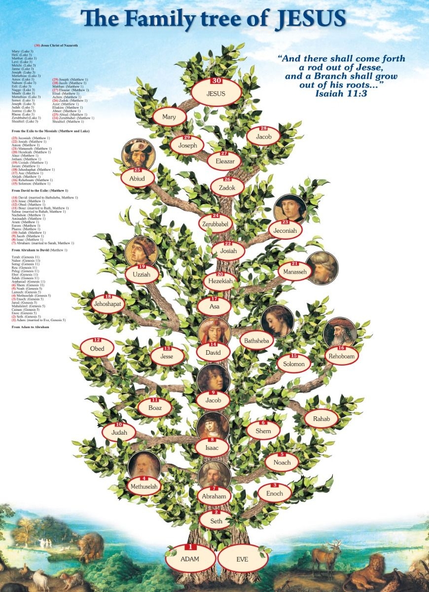 Shop The Family Tree Of Jesus Poster Printed In The Holy Land The Jerusalem Gift Shop Shop The Family Tree Of Jesus Poster Printed In The Holy Land The Jerusalem Gift Shop