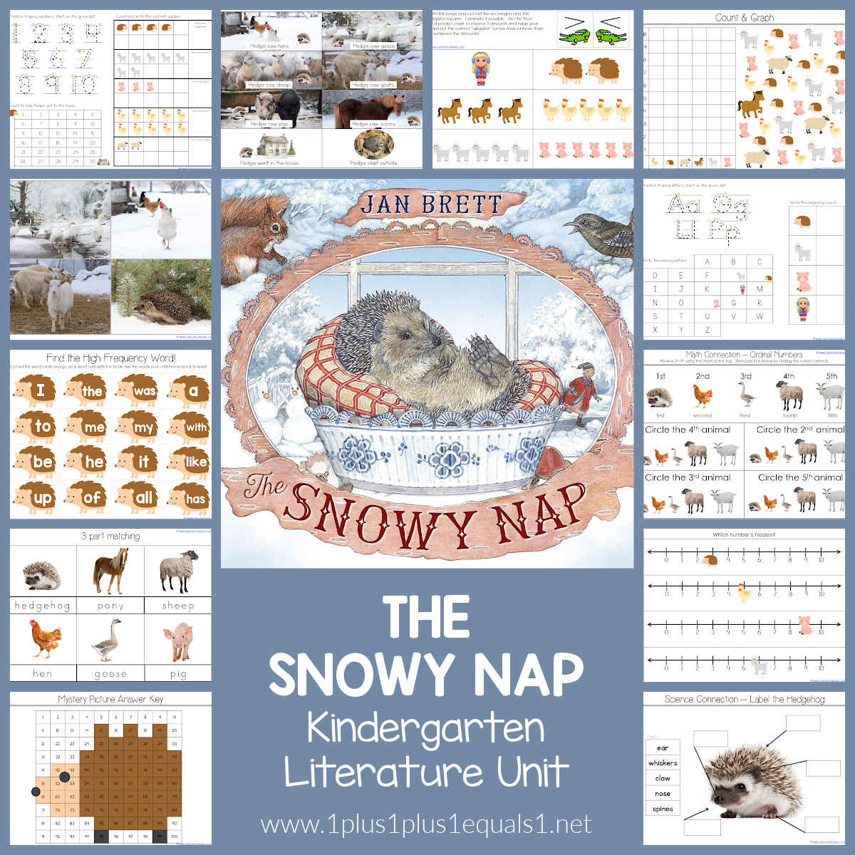The Snowy Nap Kindergarten Literature Unit 1 1 1 1